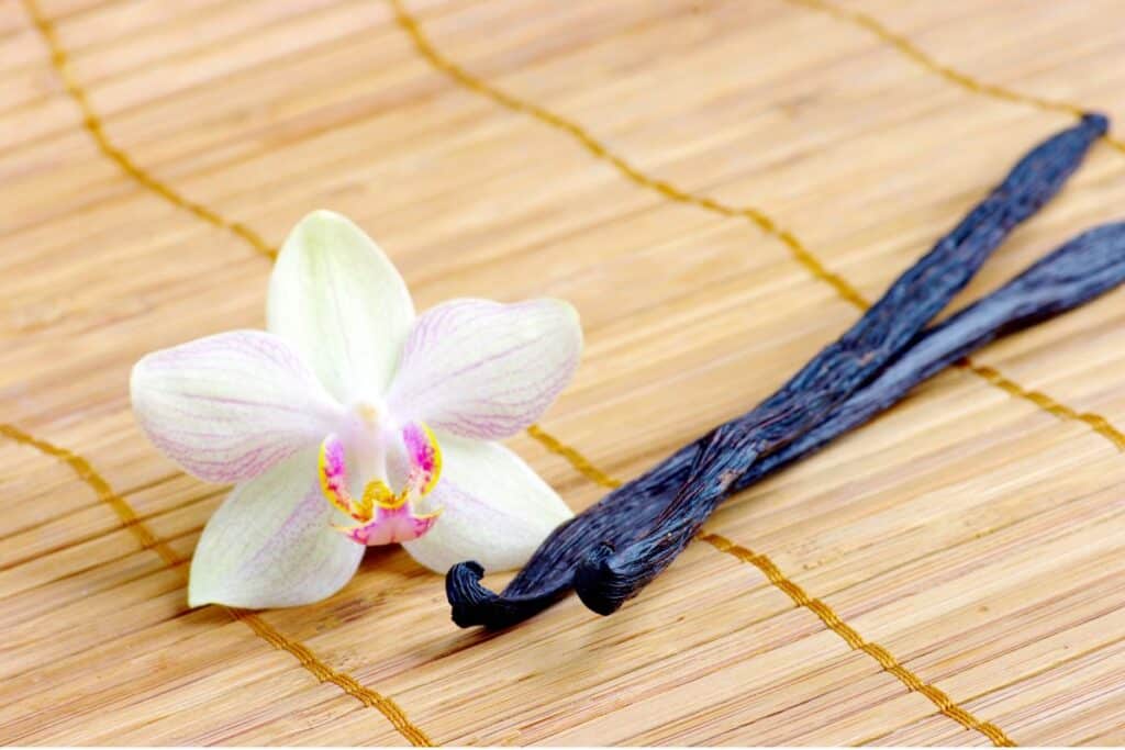 Vanilla bean pods with orchid flower.