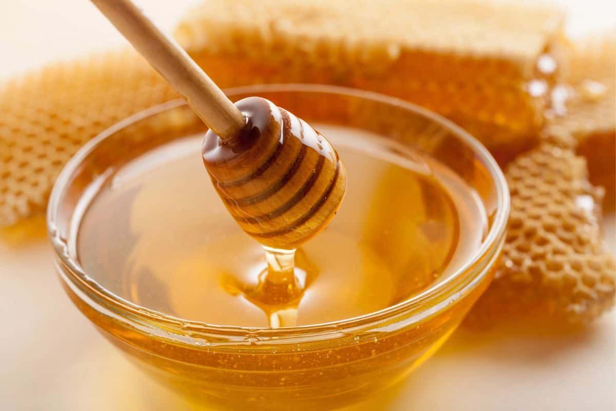 Honey and a Honey Dipper Stick on a bowl.