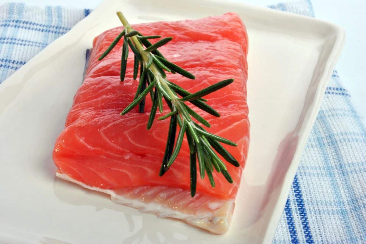 Raw organic wild salmon steak on a white plate.