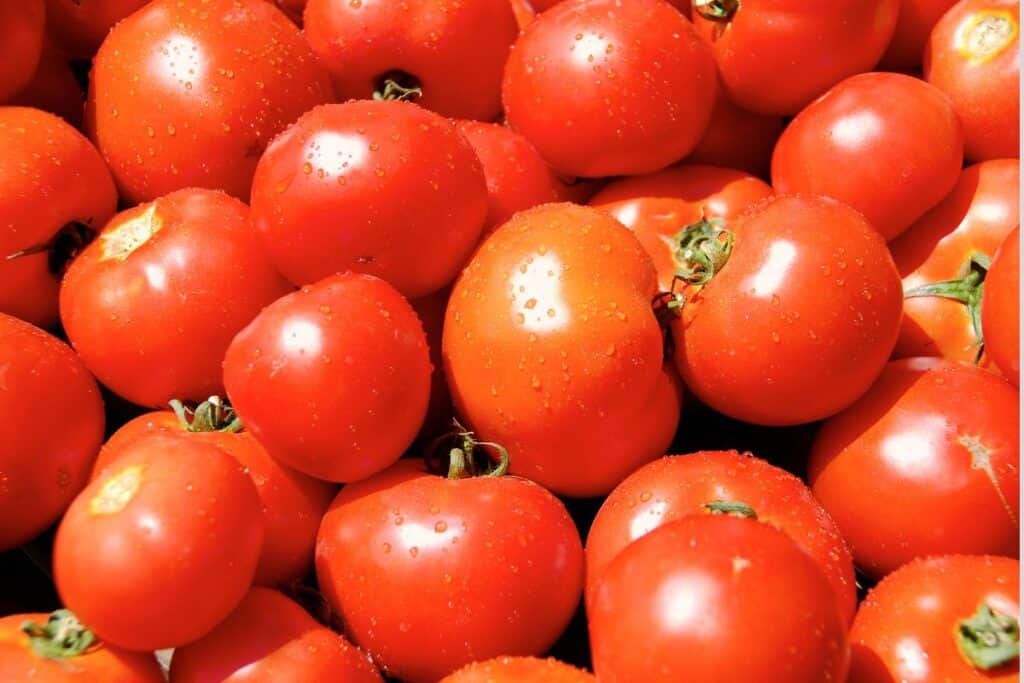 Fresh tomatoes.