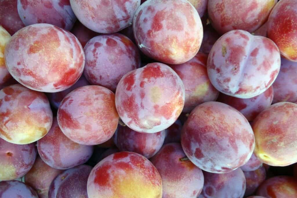 Fresh peaches.