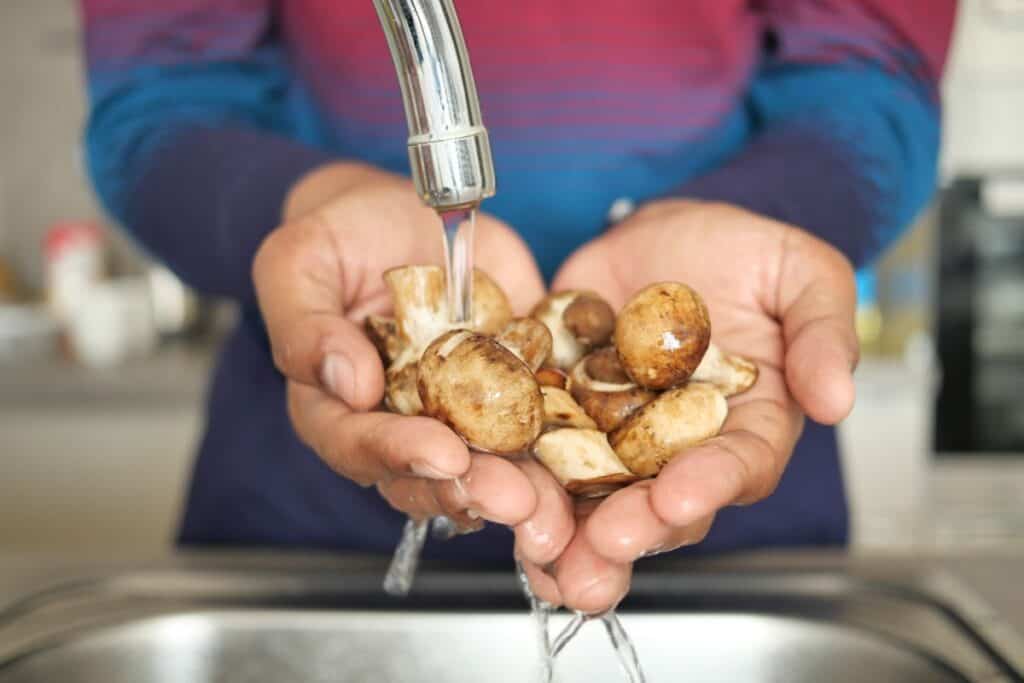 Cleaning mushroom with water. 