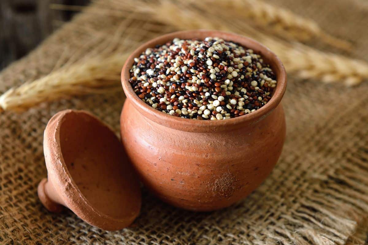 Quinoa seeds on wooden container.