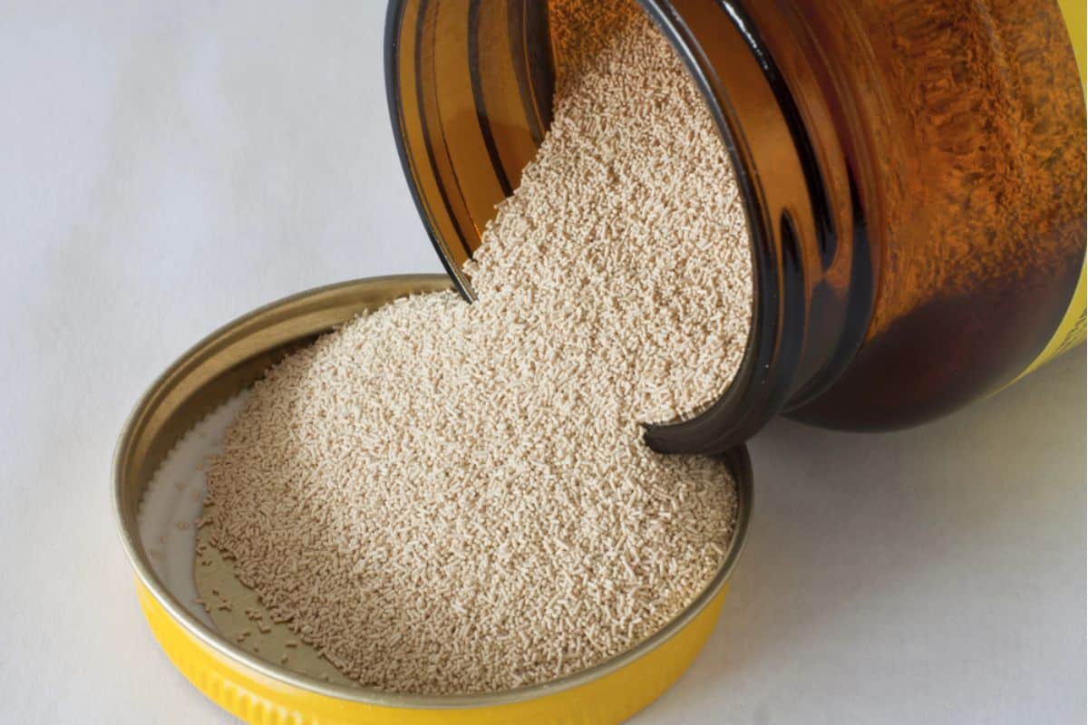 Pouring dry yeast from a container.