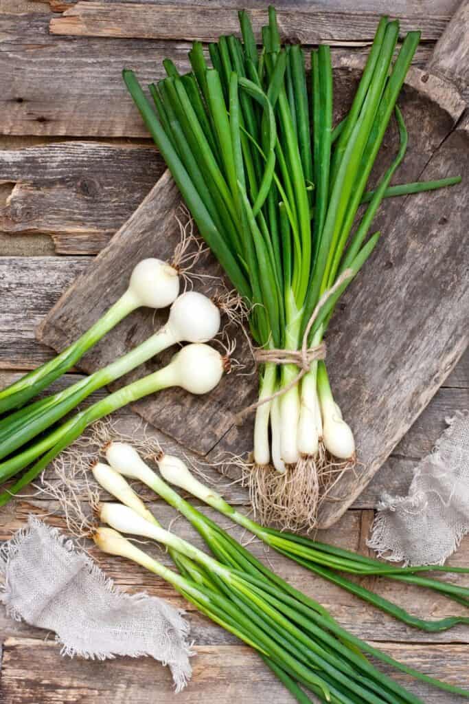 A fresh bunch of scallions is placed on a wooden background.