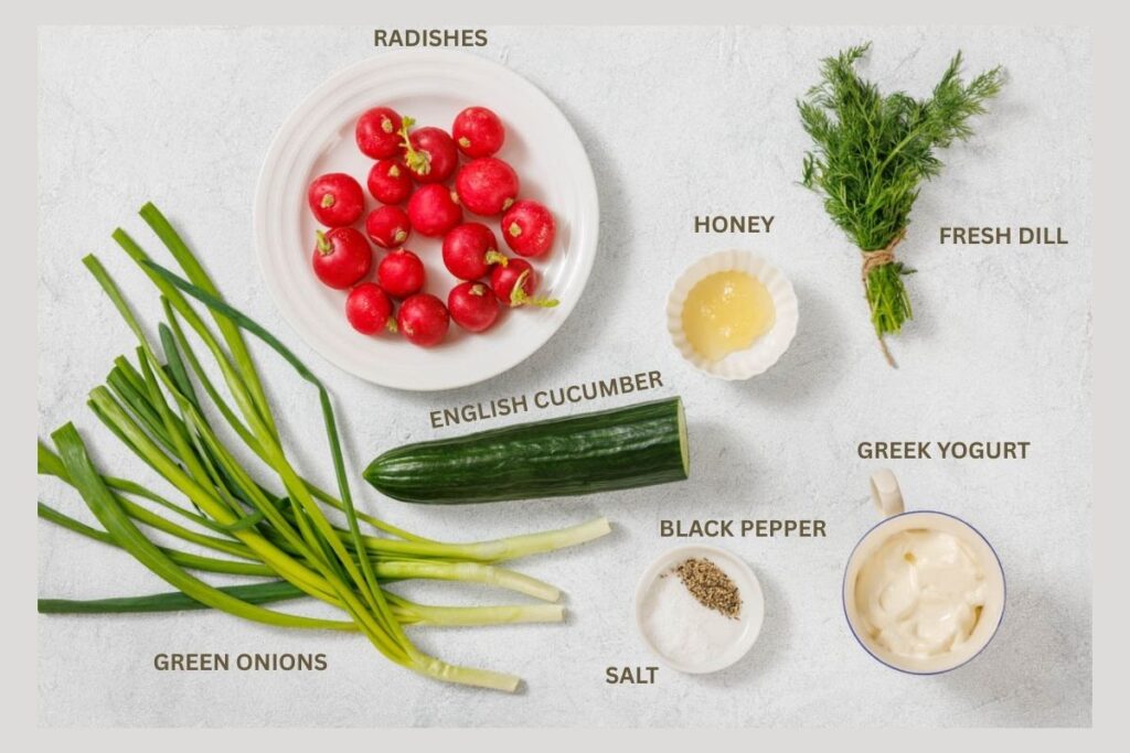 Ingredients arranged on a surface include radishes, green onions, an English cucumber, Greek yogurt, salt, black pepper, honey, and fresh dill.
