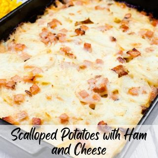 A baked dish of Scalloped Potatoes with Ham and Cheese in a rectangular baking pan.
