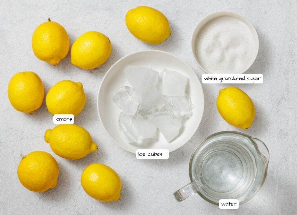 Flat lay image of ingredients for making lemonade: nine whole lemons, a bowl of white granulated sugar, a bowl of ice cubes, and a clear glass pitcher filled with water. The items are arranged on a light gray textured surface. Text labels identify each ingredient.