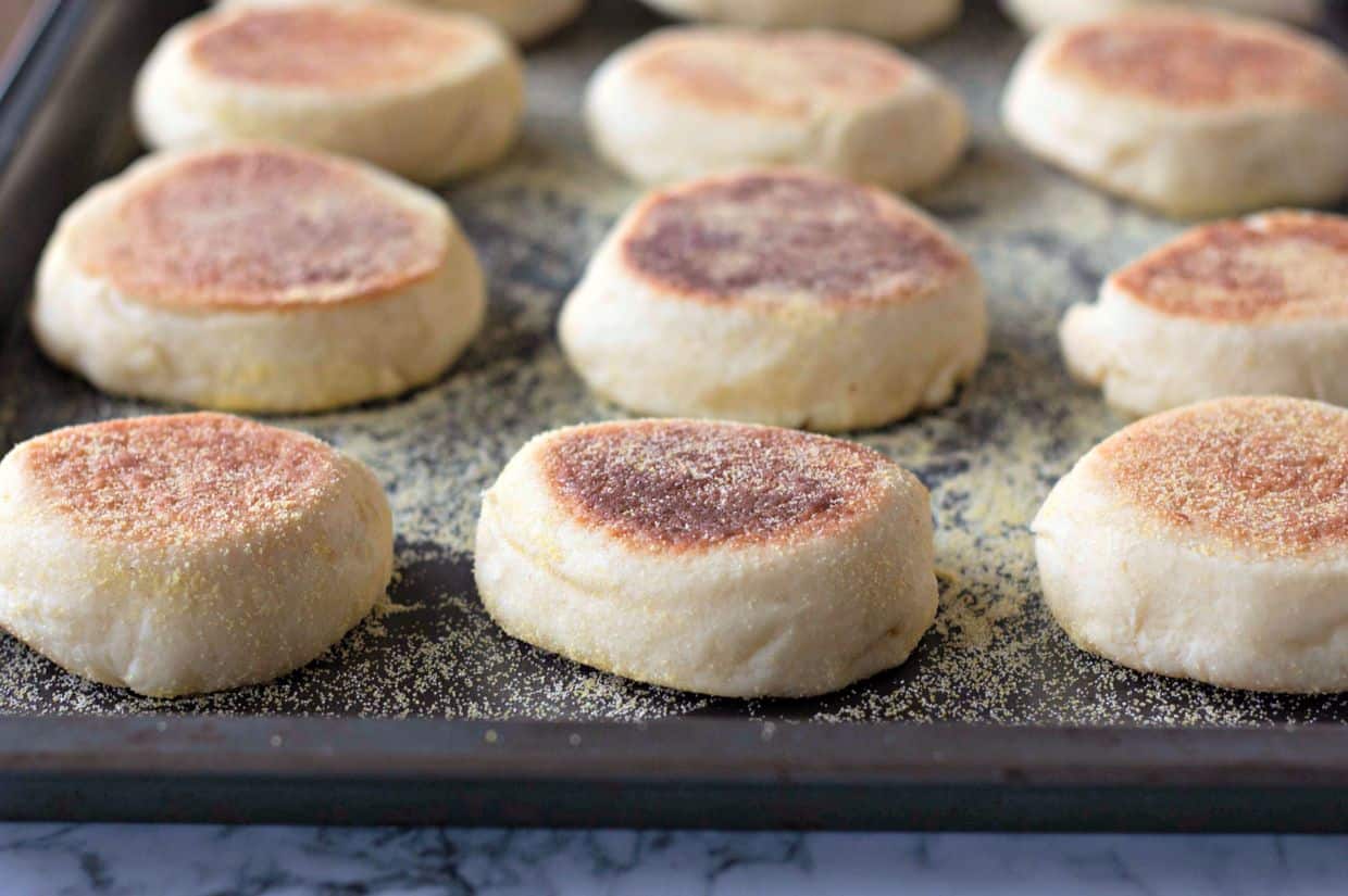 A baking tray with several English muffins, dusted with cornmeal.