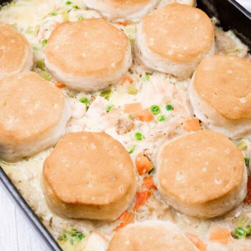 A baking dish filled with creamy chicken and vegetable casserole, topped with eight evenly spaced golden biscuits.